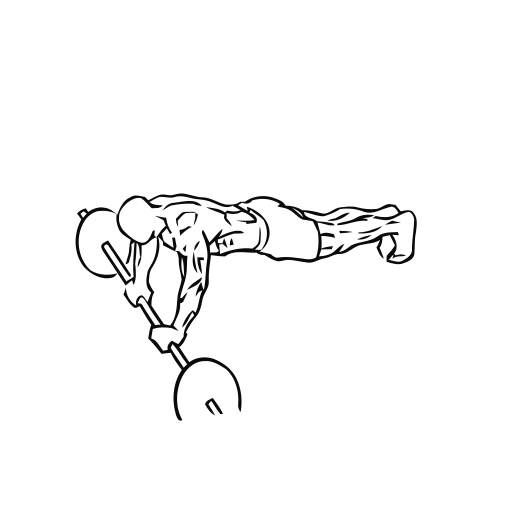 Ab Wheel Rollout