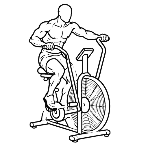 Assault Bike