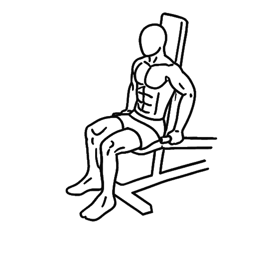 Assisted Dip — animated sequence