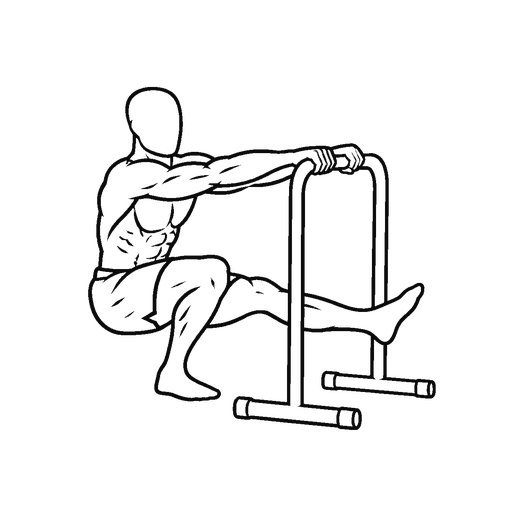 Assisted Pistol Squat