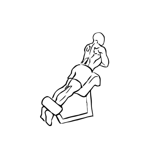 Back Extension