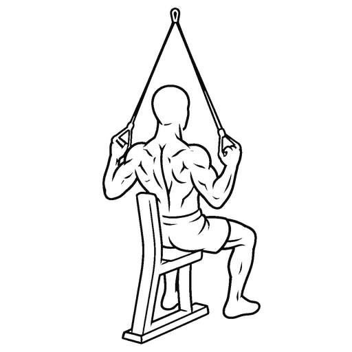 Banded Lat Pulldown