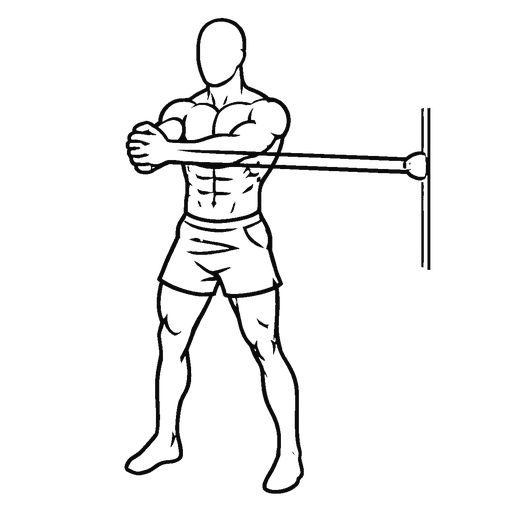 Banded Pallof Press