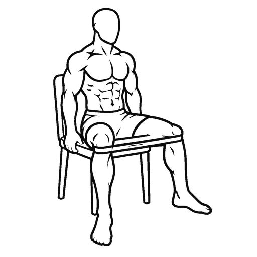 Banded Seated Hip Abduction