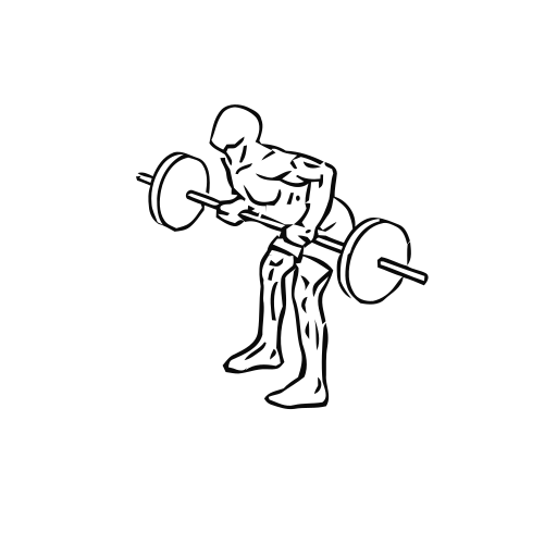 Barbell Row