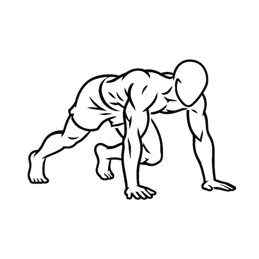 Bear Crawl