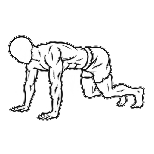 Bear Plank — animated sequence