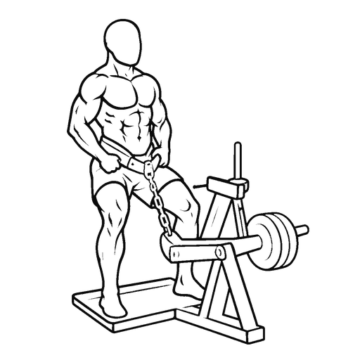 Belt Squat