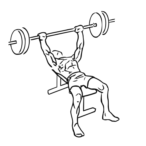 Bench Press