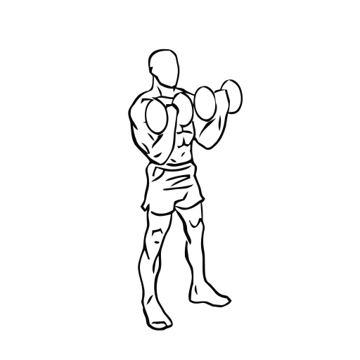 Bicep Curl