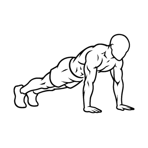 Burpee