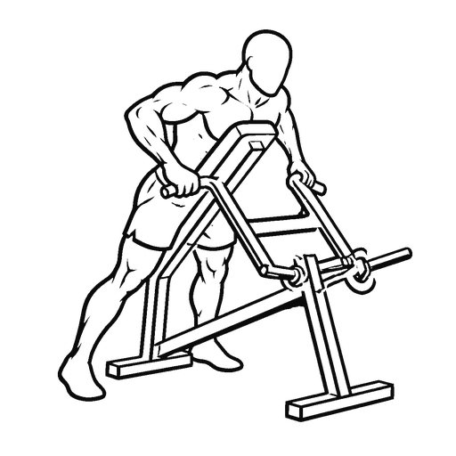 Chest Supported Row