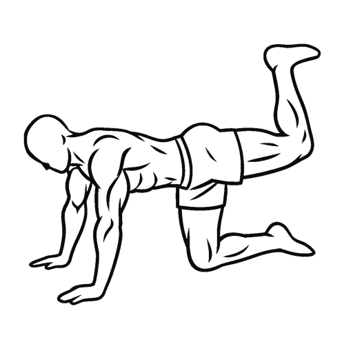 Donkey Kick
