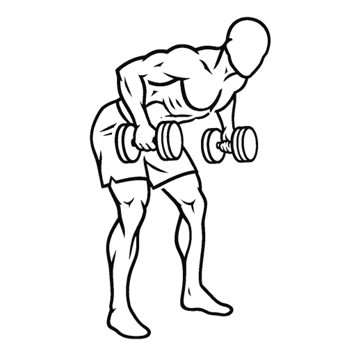 Dumbbell Bent Over Row