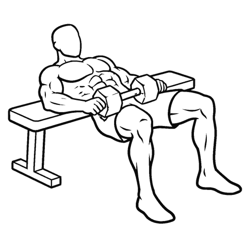 Dumbbell Hip Thrust