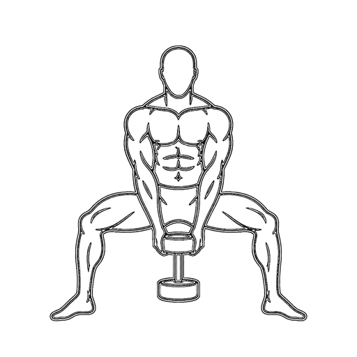 Dumbbell Sumo Squat — animated sequence