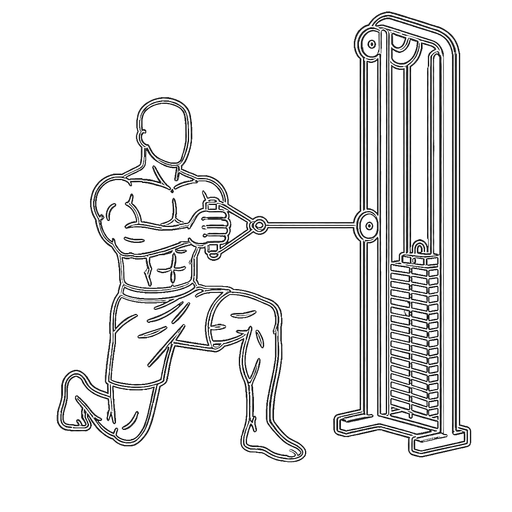 Half-Kneeling Pallof Press — animated sequence
