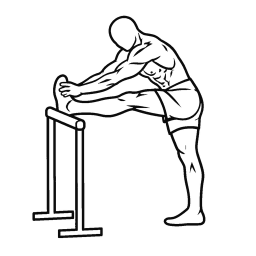 Hamstring Stretch
