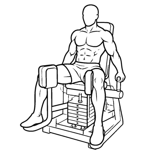 Hip Abduction Machine