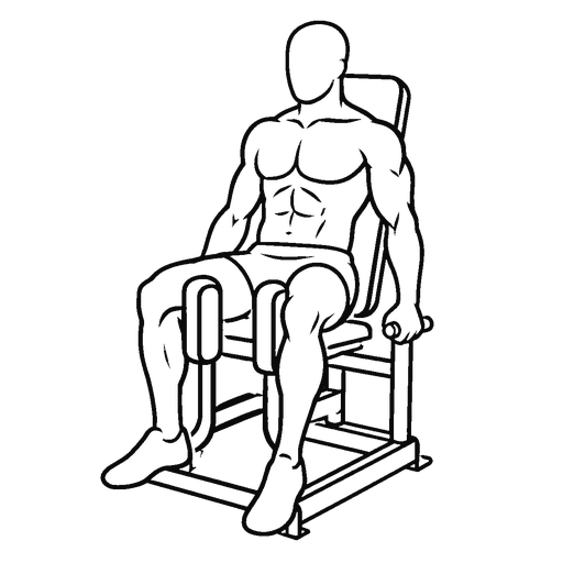 Hip Adduction Machine