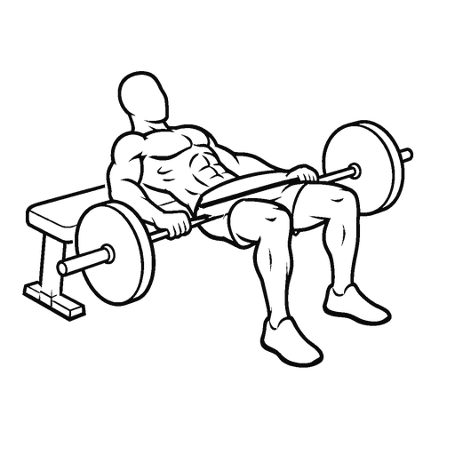Hip Thrust