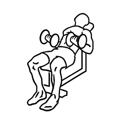 Incline Dumbbell Curl — animated sequence