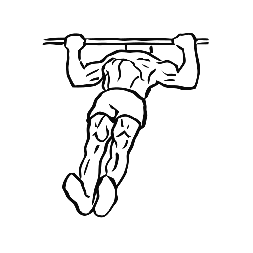 Inverted Row