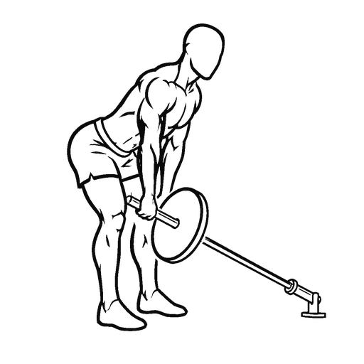 Landmine Romanian Deadlift