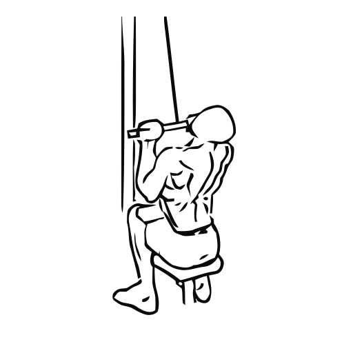 Lat Pulldown