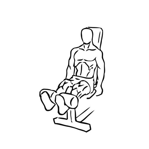 Leg Extension