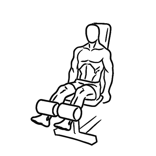 Leg Extension — animated sequence