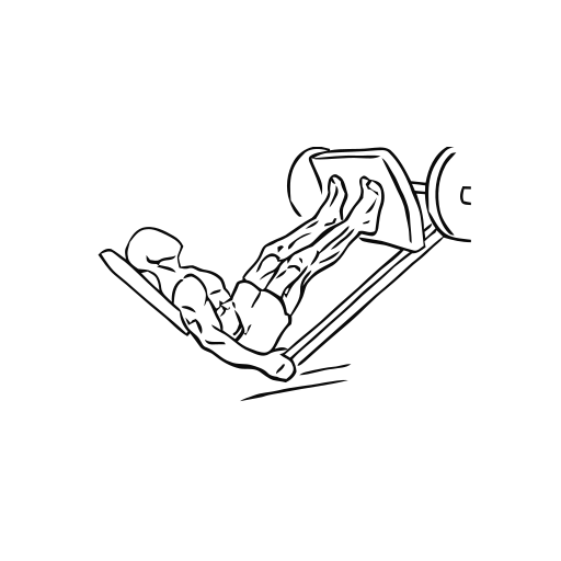 Leg Press Calf Raise