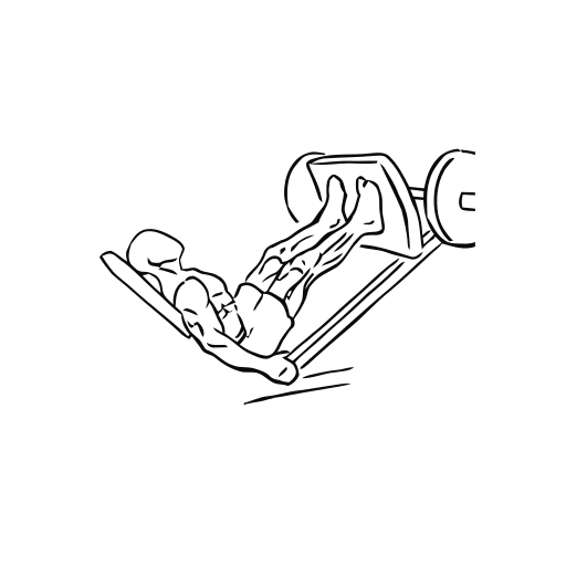 Leg Press