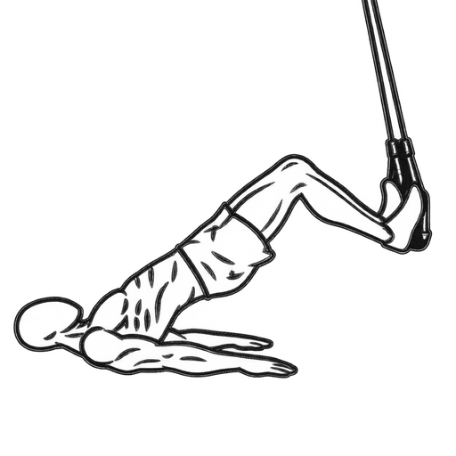 Lying Hamstring Walkout — animated sequence