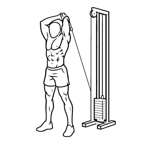 Overhead Tricep Extension