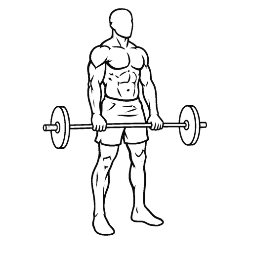 Reverse Curl