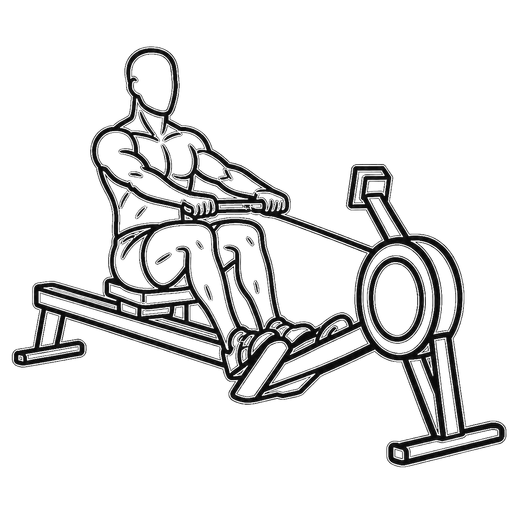 Rowing — animated sequence