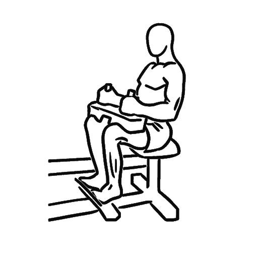 Seated Calf Raise — animated sequence