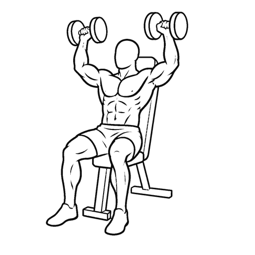 Dumbbell Seated Shoulder Press