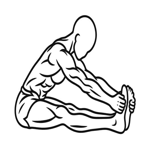 Seated Forward Fold — animated sequence