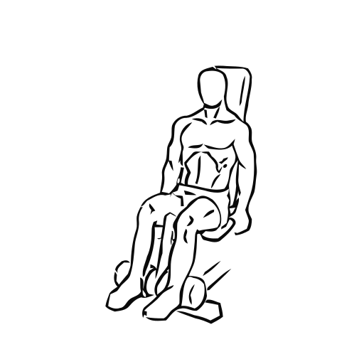 Seated Leg Curl