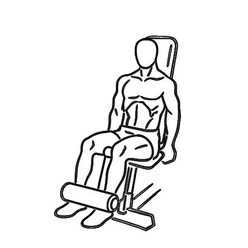 Seated Leg Curl — animated sequence