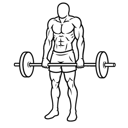 Barbell Shrug