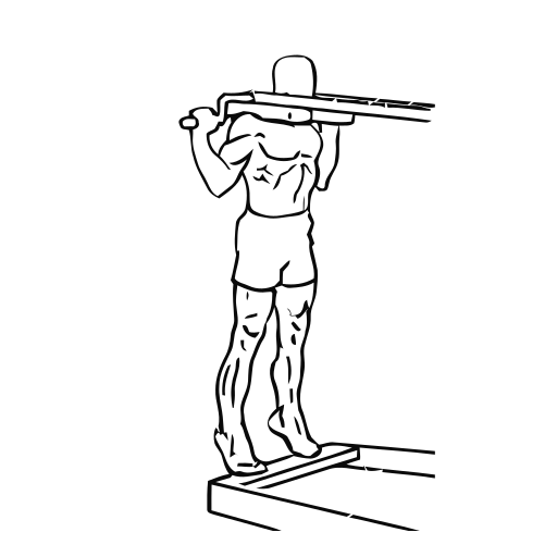 Standing Calf Raise