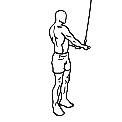 Straight-Arm Pulldown — animated sequence