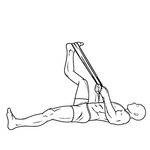 Towel Hamstring Curl — animated sequence