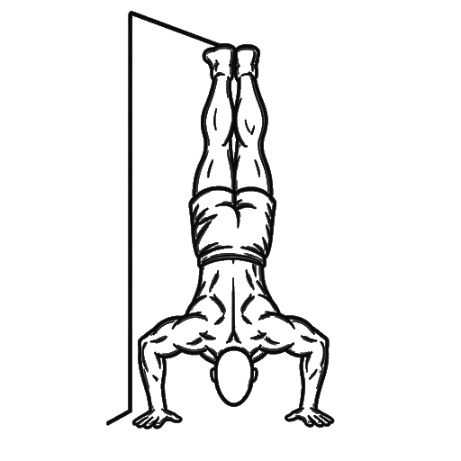 Wall Handstand Push-up — animated sequence