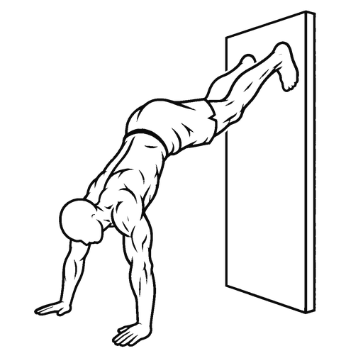 Wall Walk