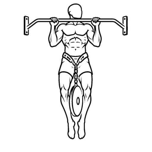 Weighted Pull-up